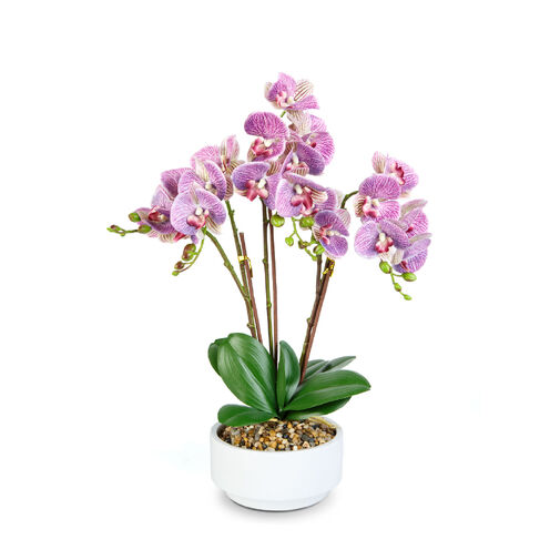 11919 • Műnövény dekoráció - orchidea - 5 féle - 56 cm