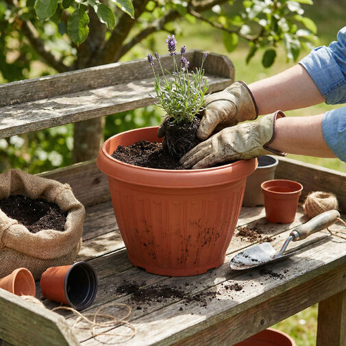 11992 • Műanyag virágcserép - terrakotta - 25 cm