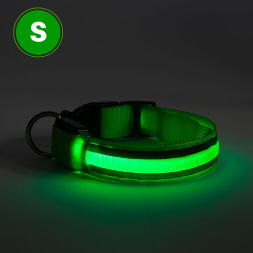 60027D • LED-es nyakörv - akkumulátoros - S méret - zöld