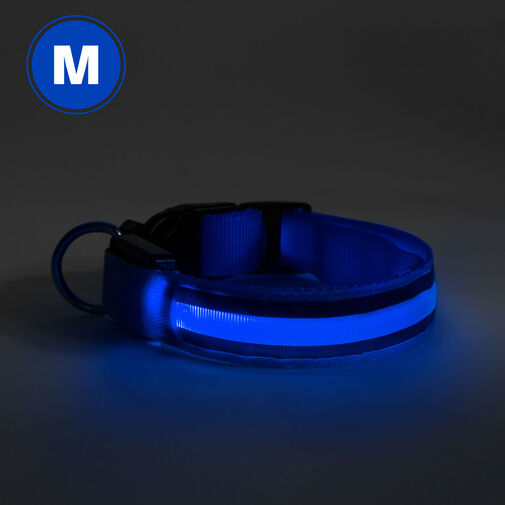 60028A • LED-es nyakörv - akkumulátoros - M méret - kék