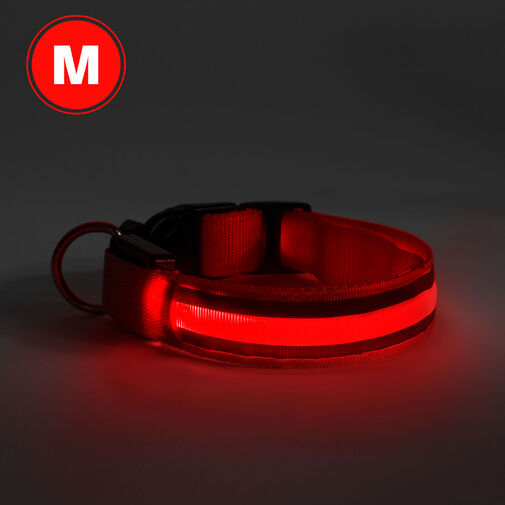 60028B • LED-es nyakörv - akkumulátoros - M méret - piros