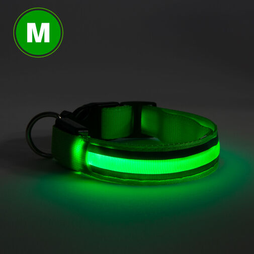 60028D • LED-es nyakörv - akkumulátoros - M méret - zöld
